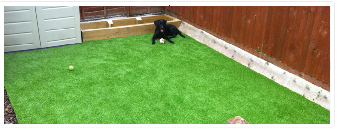 Artificial grass in Shropshire