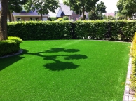 High Quality Artificial Grass